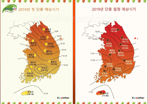 Lịch dự báo mùa thu lá đỏ ở Hàn Quốc 2019